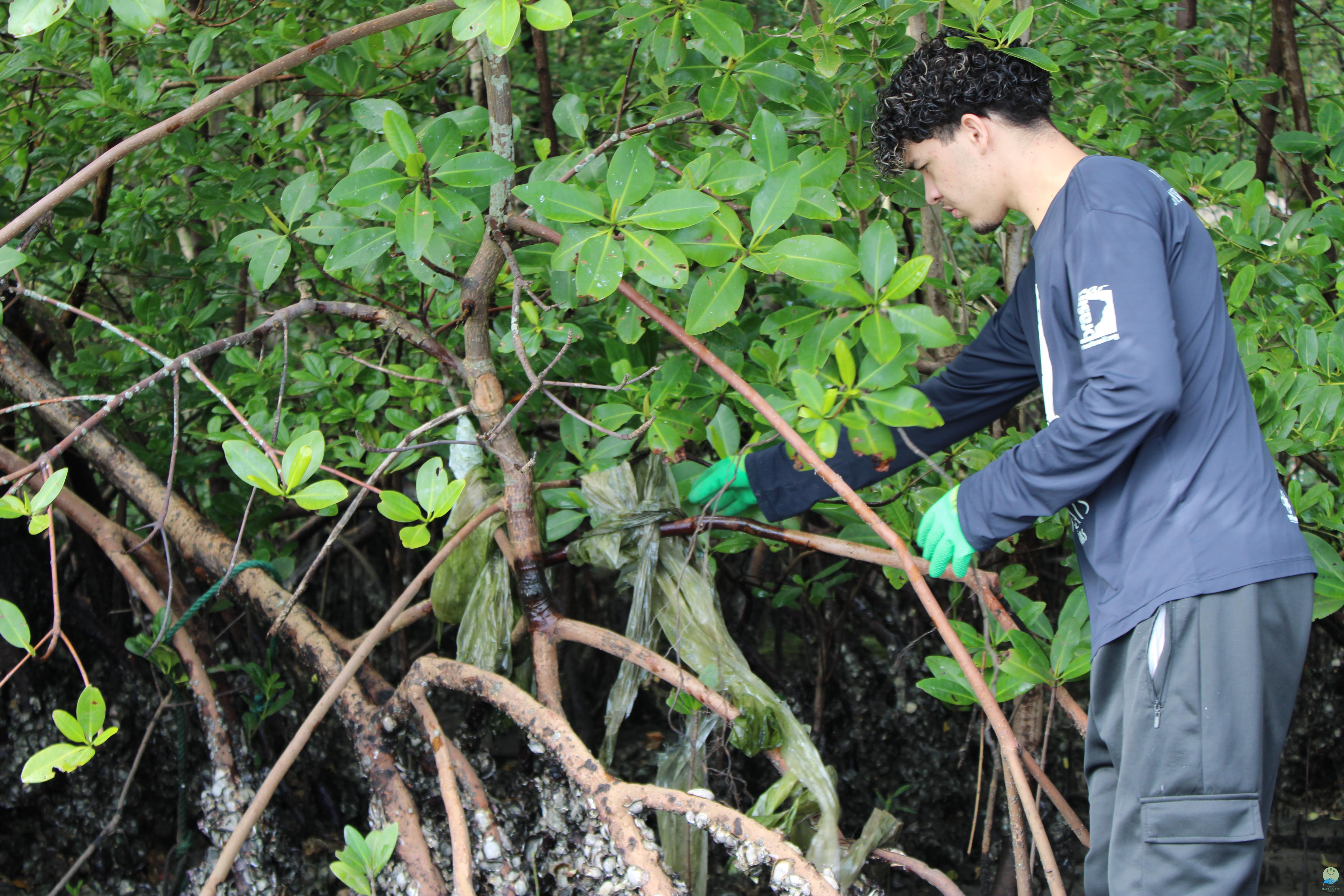 Ação de limpeza no porto da bateira, no Valadares, onde 24 pessoas tiraram 500 kg de resíduos em 1h 30 min